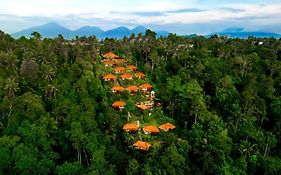 Nandini Bali Jungle Resort