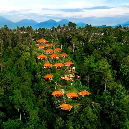 Nandini Jungle Resort&Spa Bali Ubud  Bagian luar foto